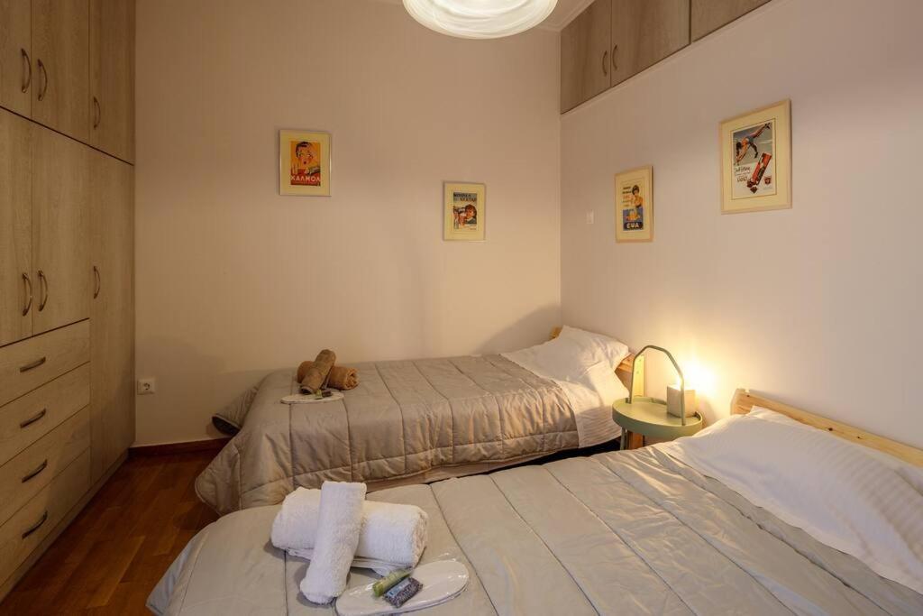 City View Roof Top Apt 10Min From Acropolis Museum 雅典 外观 照片